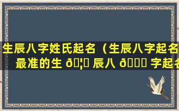 生辰八字姓氏起名（生辰八字起名最准的生 🦍 辰八 🐒 字起名网）